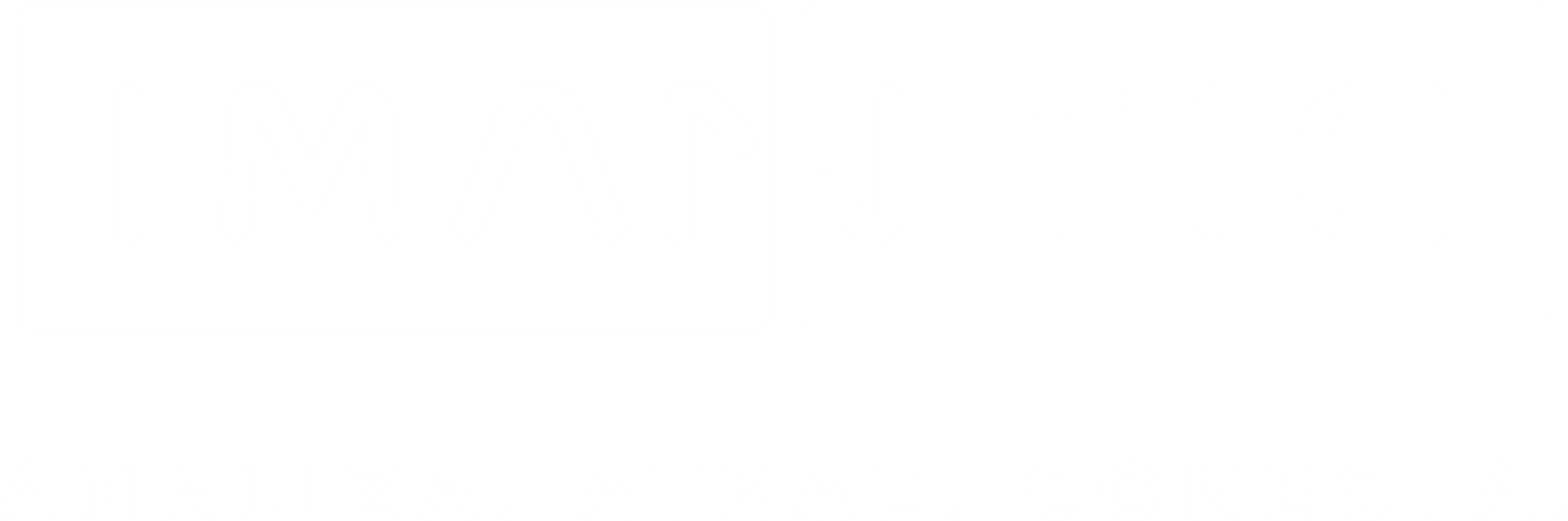 Imantic · Analiza. Atrae. Conecta.